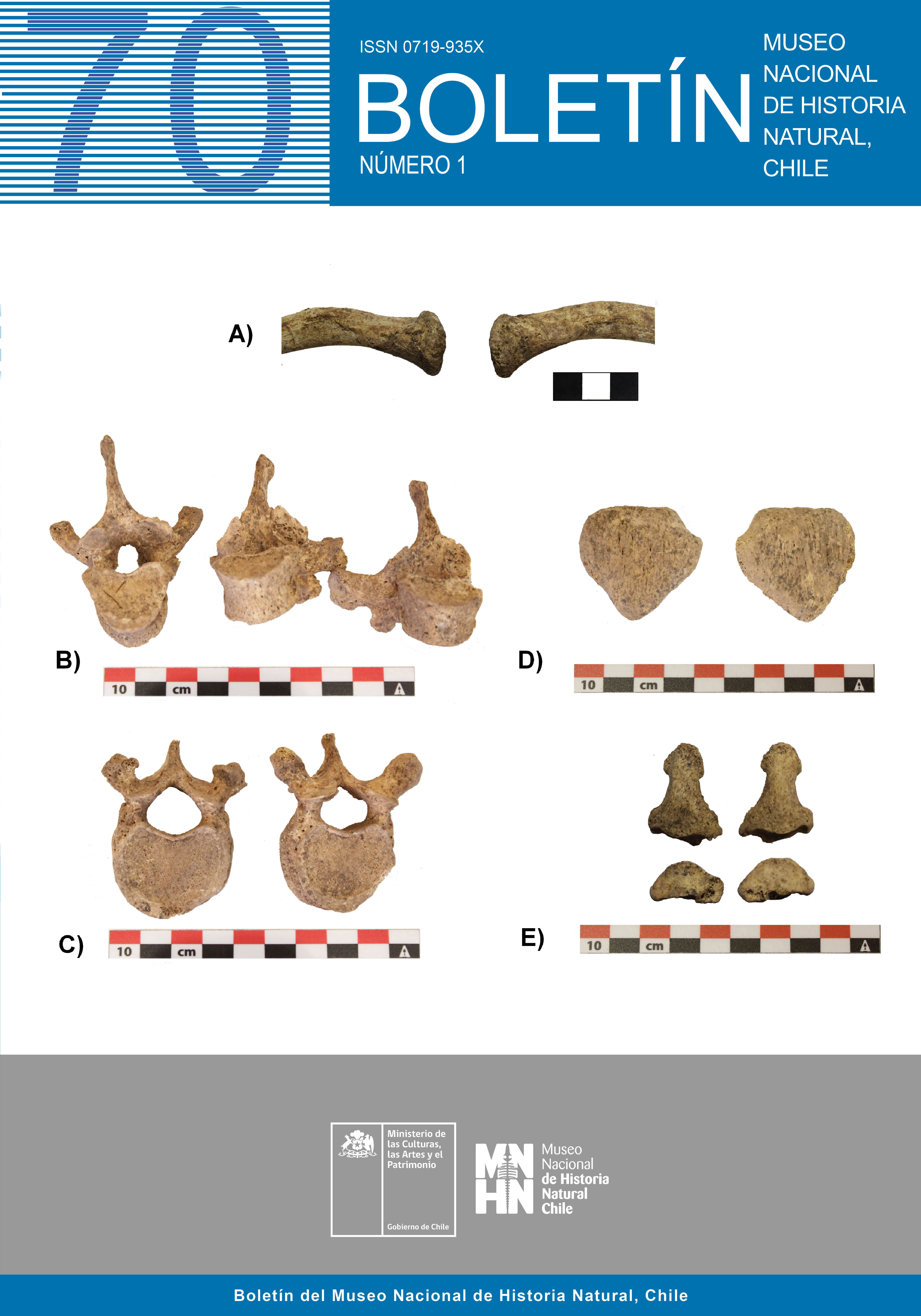 Portada número: Vol. 70 Núm. 1 (2021): Boletín Museo Nacional de Historia Natural