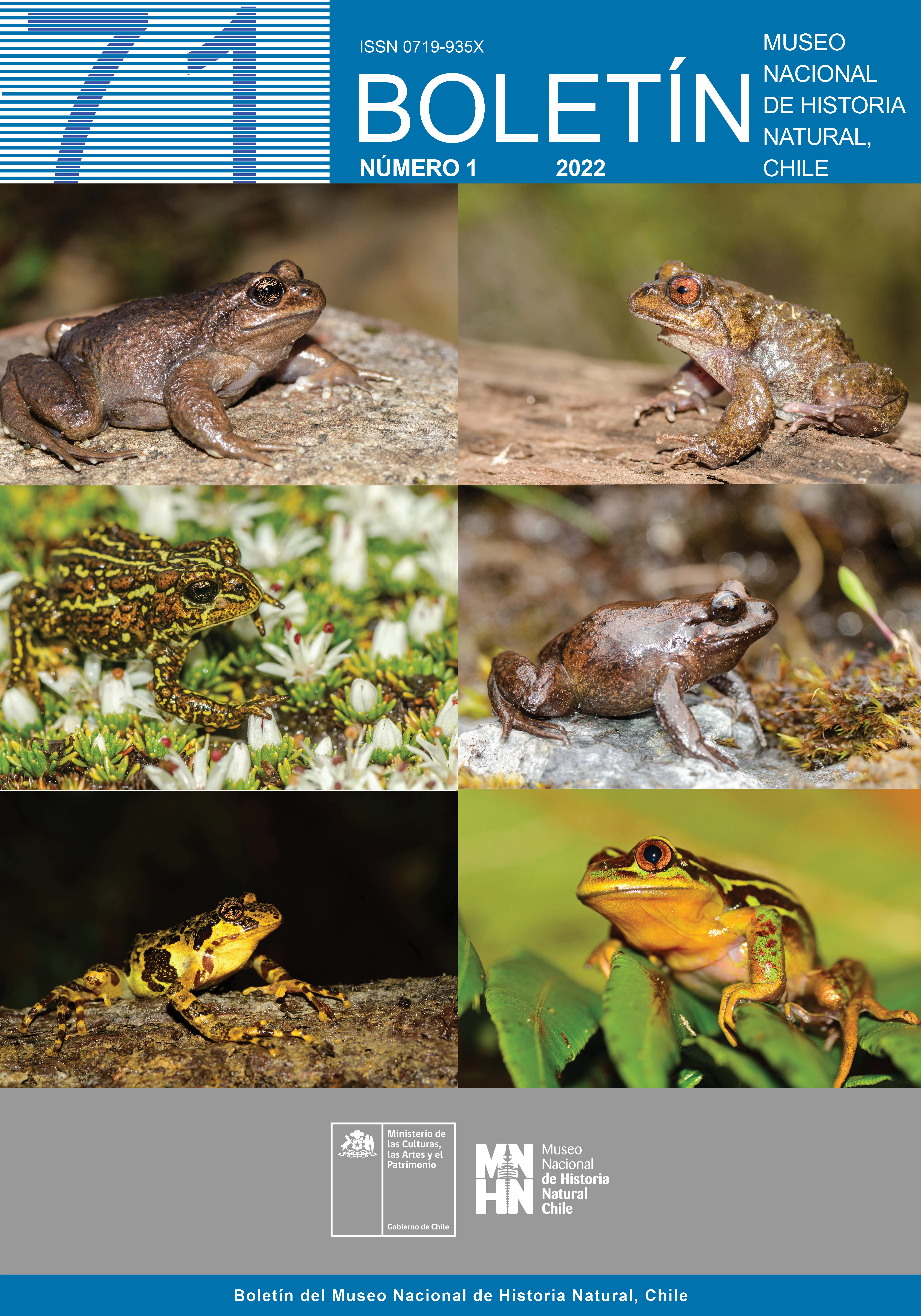 Boletín 71 Número 1