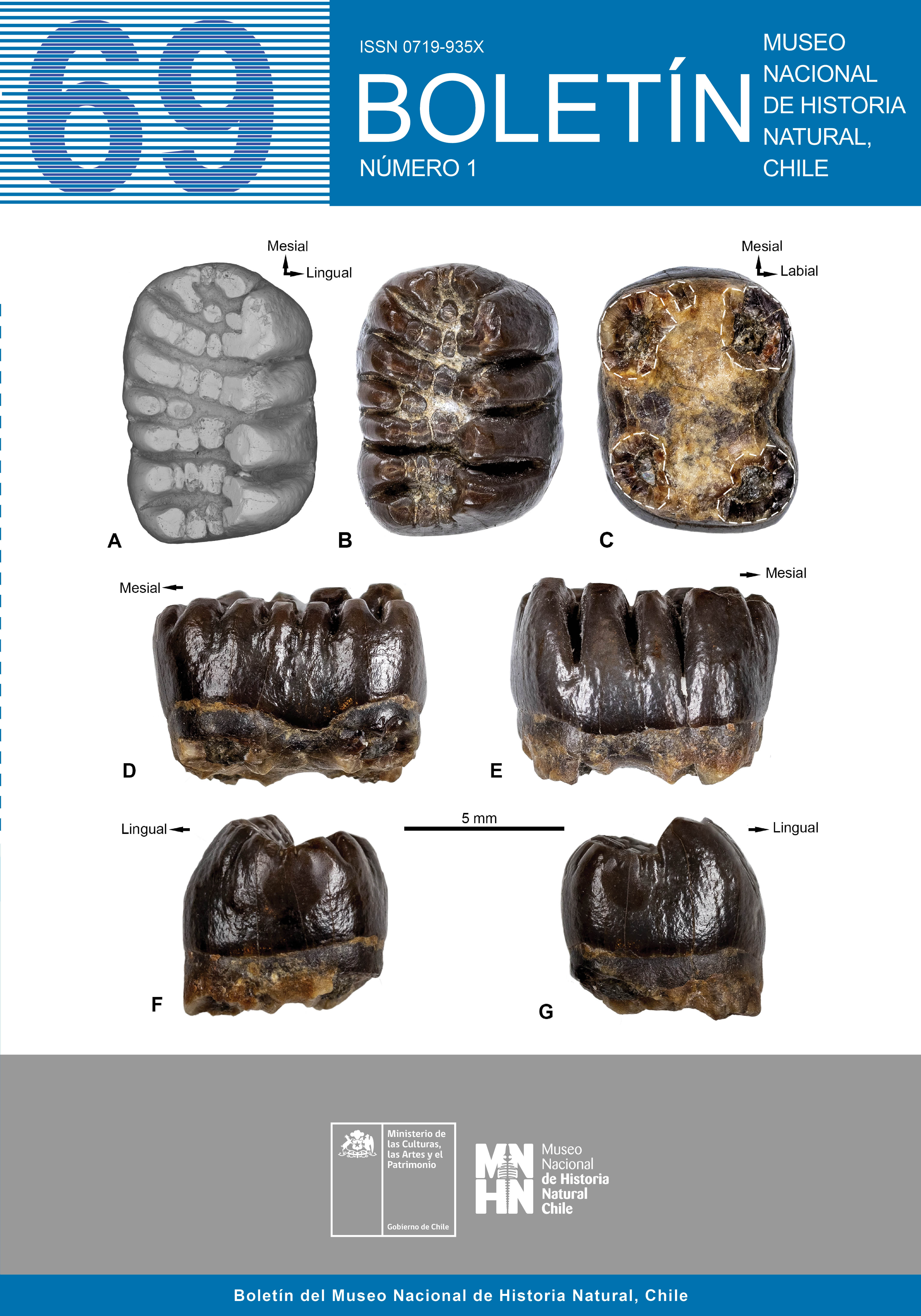 Boletín 69 Número 1